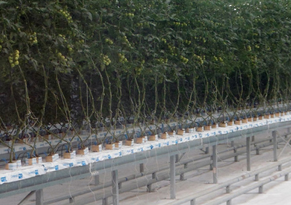 1657525418295467.jpg 3-2.jpg