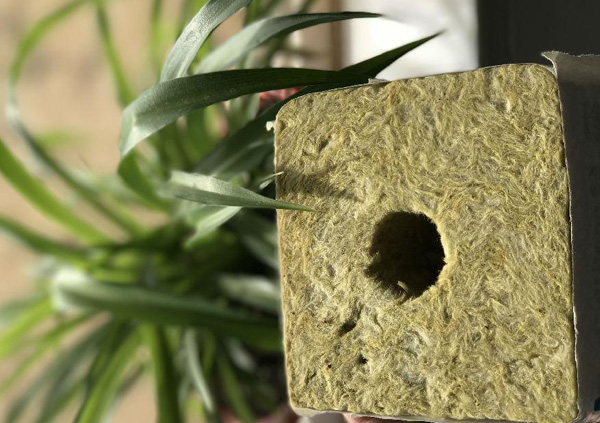 1657525560536391.jpg 3-5.jpg